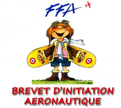 Brevet D’Initiation Aéronautique